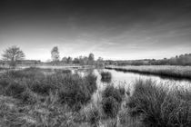 Woorgreens Lake by David Tinsley