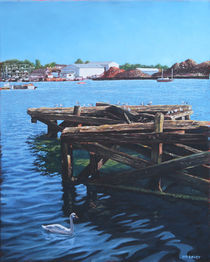 Southampton Northam River Itchen old jetty with sea birds by Martin  Davey
