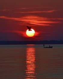 Sunset Fishing von Billy Bartholomew