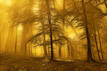 Golden forest at autumn  von Odon Czintos