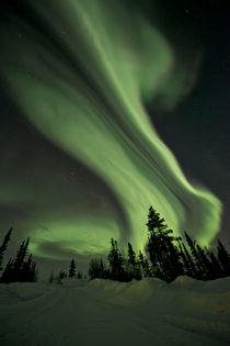 Swirls of Northern Lights over the Midnight Dome by Priska  Wettstein