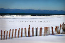 Winter at the beach by Milena Ilieva