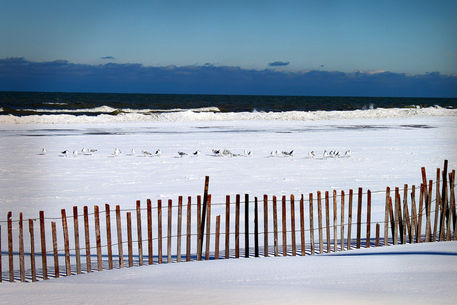 Winter-at-the-beach