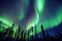 Northern Lights and forrest by Vincent Demers