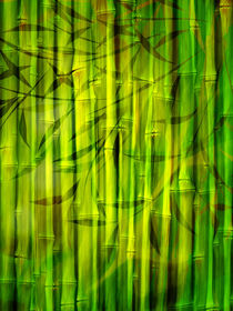 Bamboo Spirit by Lutz Baar