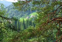 View of mountain peaks in spring time von Serhii Zhukovskyi