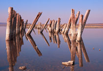 Landscape old rotten columns in lake by Serhii Zhukovskyi