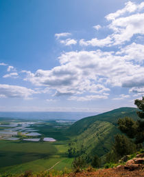Mount Gilboa king Saul view from the top to the valley of Israel by Serhii Zhukovskyi