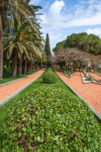 fragment of famous Bahai gardens in Haifa, Israel by Serhii Zhukovskyi