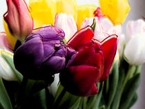 Tulips by Leandro Bistolfi