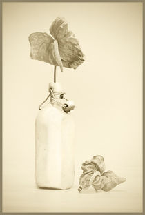 Alte Flasche von Fernand Reiter