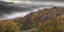 Misty Autumn Morning by David Tinsley