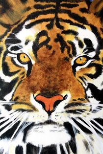 Tiger by Petra Koob