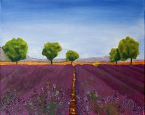 Lavendelfeld by Petra Koob