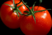 tomatoes von Michel Meijer