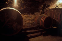 wine cellar, Hungary 2005 by Michel Meijer