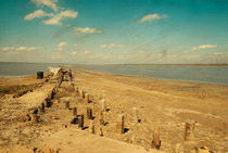 littered the drying lake shore, old color style von Serhii Zhukovskyi