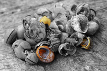 Schneckenfriedhof - snails cemetery by ropo13