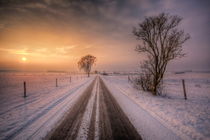winter by Manfred Hartmann