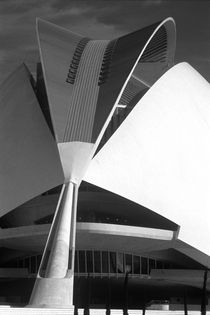 City of Arts and Sciences, Valencia 2006 by Michel Meijer