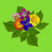 Blumenstrauß mit bunten Blumen auf grünem Hintergrund von Manfred Koch