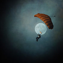 Skydiver's Moon von Trish Mistric