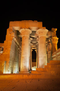 Temple of Kom Ombo by David Tinsley