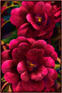 Japanese Flowers von Chris Lord
