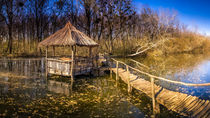 Arbour on the Small Danube by Zoltan Duray