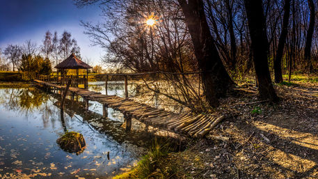 Arbour-on-the-small-danube-2