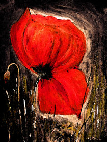 Rote Mohnblume von Irina Usova