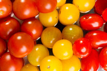 Tomatenvielfalt by Olaf von Lieres