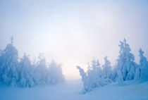 Twilight Snow by evgeny bashta