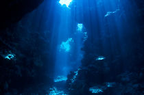 underwater background by evgeny bashta