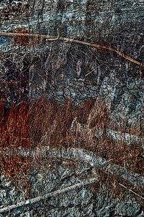 abstract nature 10 by fotokunst66