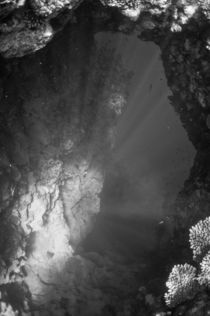 underwater background by evgeny bashta
