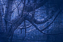 artwork in painting style gloomy wood in dark blue tones by Serhii Zhukovskyi