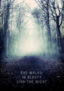 She Walks in Beauty by Sybille Sterk
