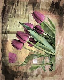 Purple Tulips. von rosanna zavanaiu