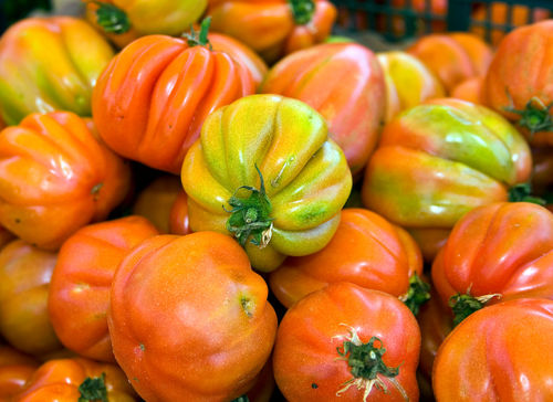 Sizilianische-tomaten-rot-gruen