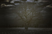 Tree by michas-pix