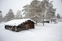 Old blockhouse in forest at winter. von evgeny bashta