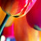 Tulpen-weich-popart