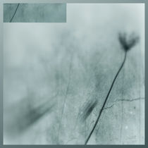 blur flowerdream by Michael Leinsinger