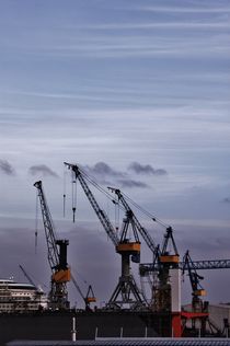 The Cranes of Hamburg by Michael Beilicke