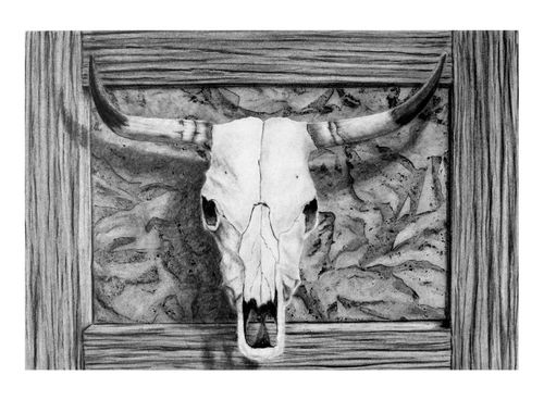 Graphite-cow-skull