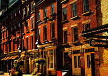 BRICK HOUSES OF SEA PORT AREA IN NYC by Maks Erlikh