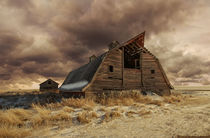 Abandoned Barn by Mindy McGregor