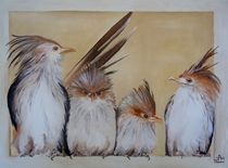 Guira cuckoos by Wendy Mitchell