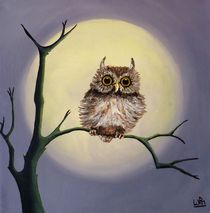 Tiny owl by Wendy Mitchell
